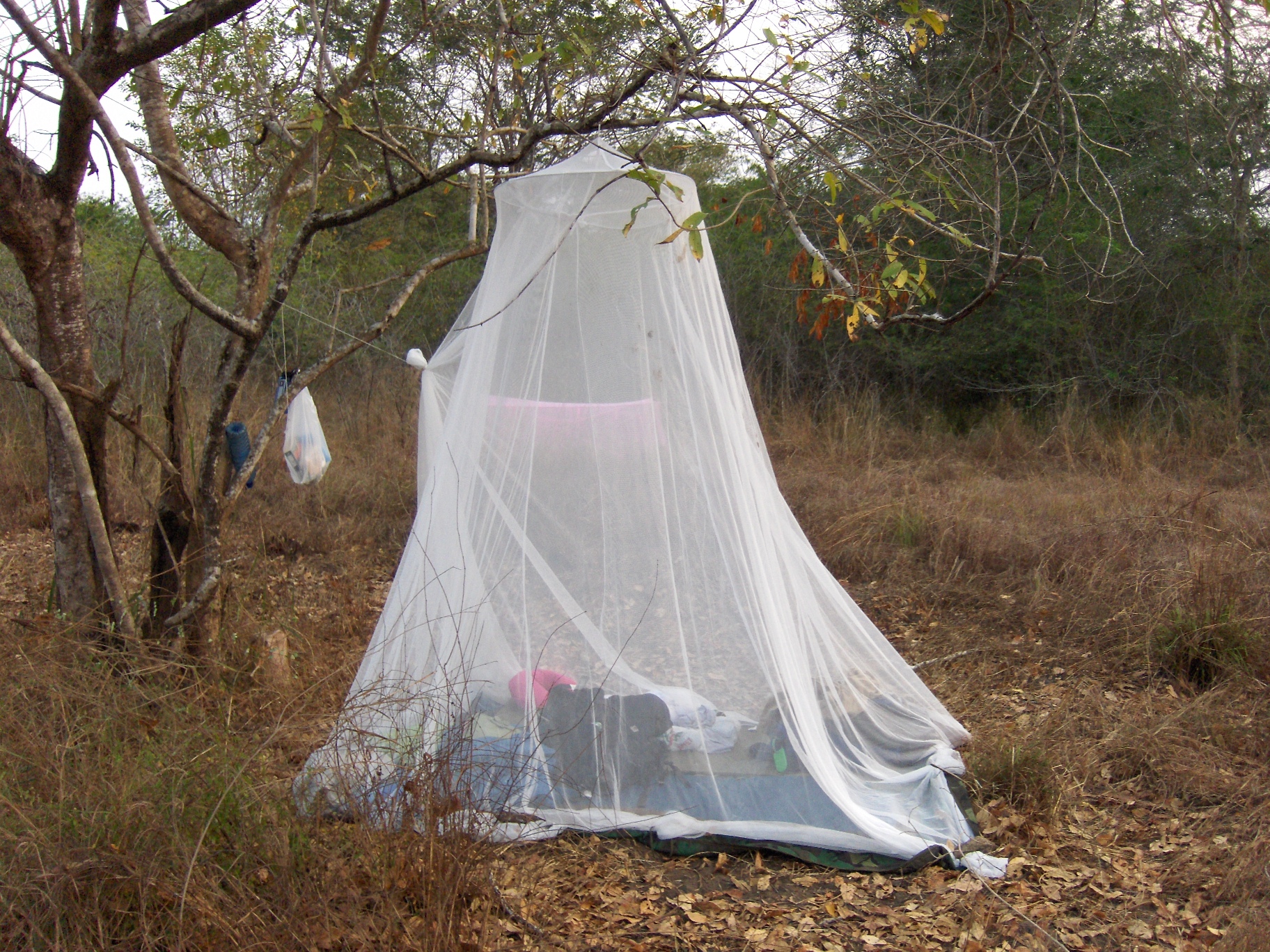bush camping africa angola mosquito net