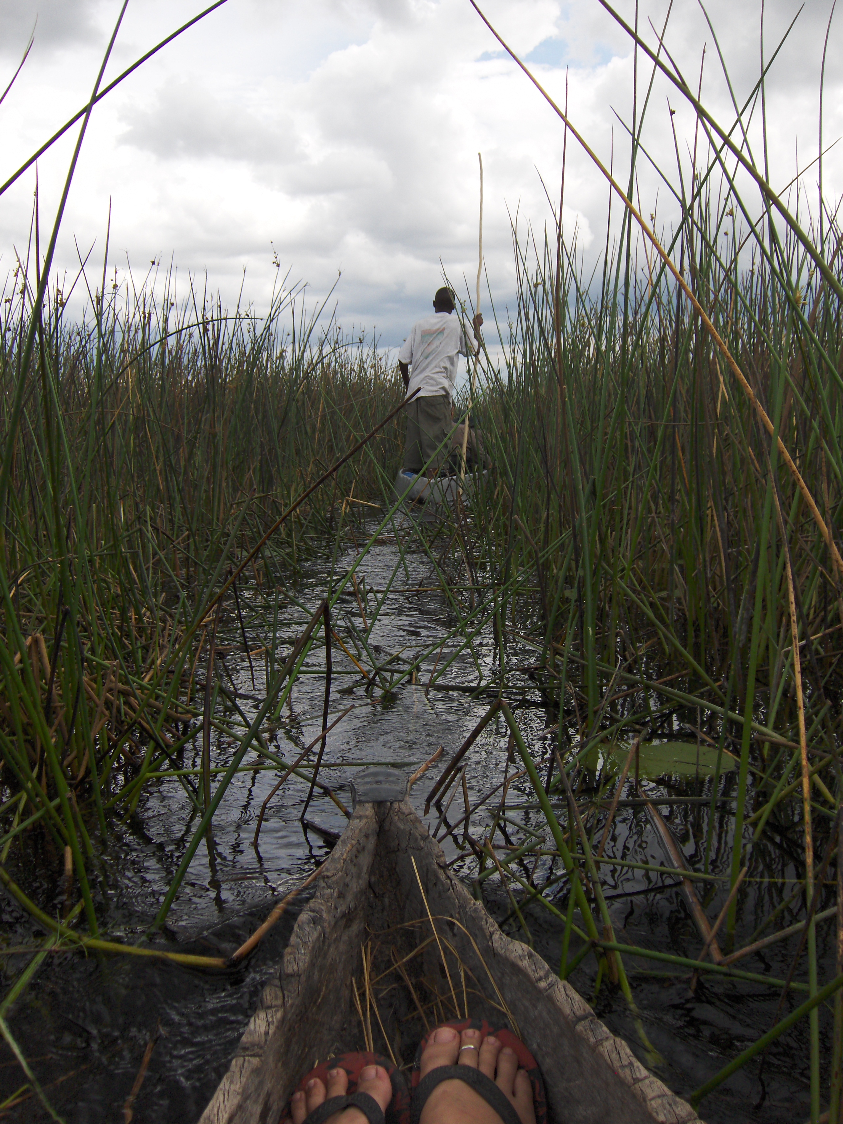 mokoro ride okavanga delta botswana