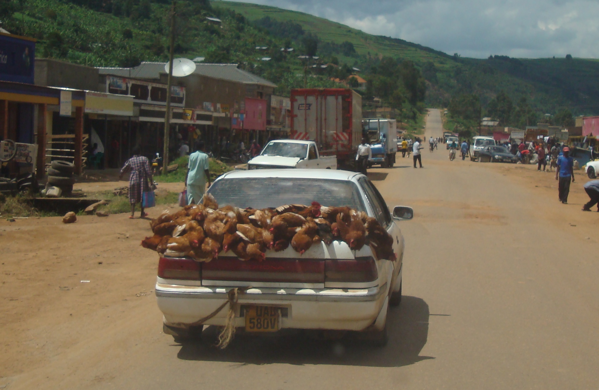 chickens going to market tied to back of car africa uganda rwanda