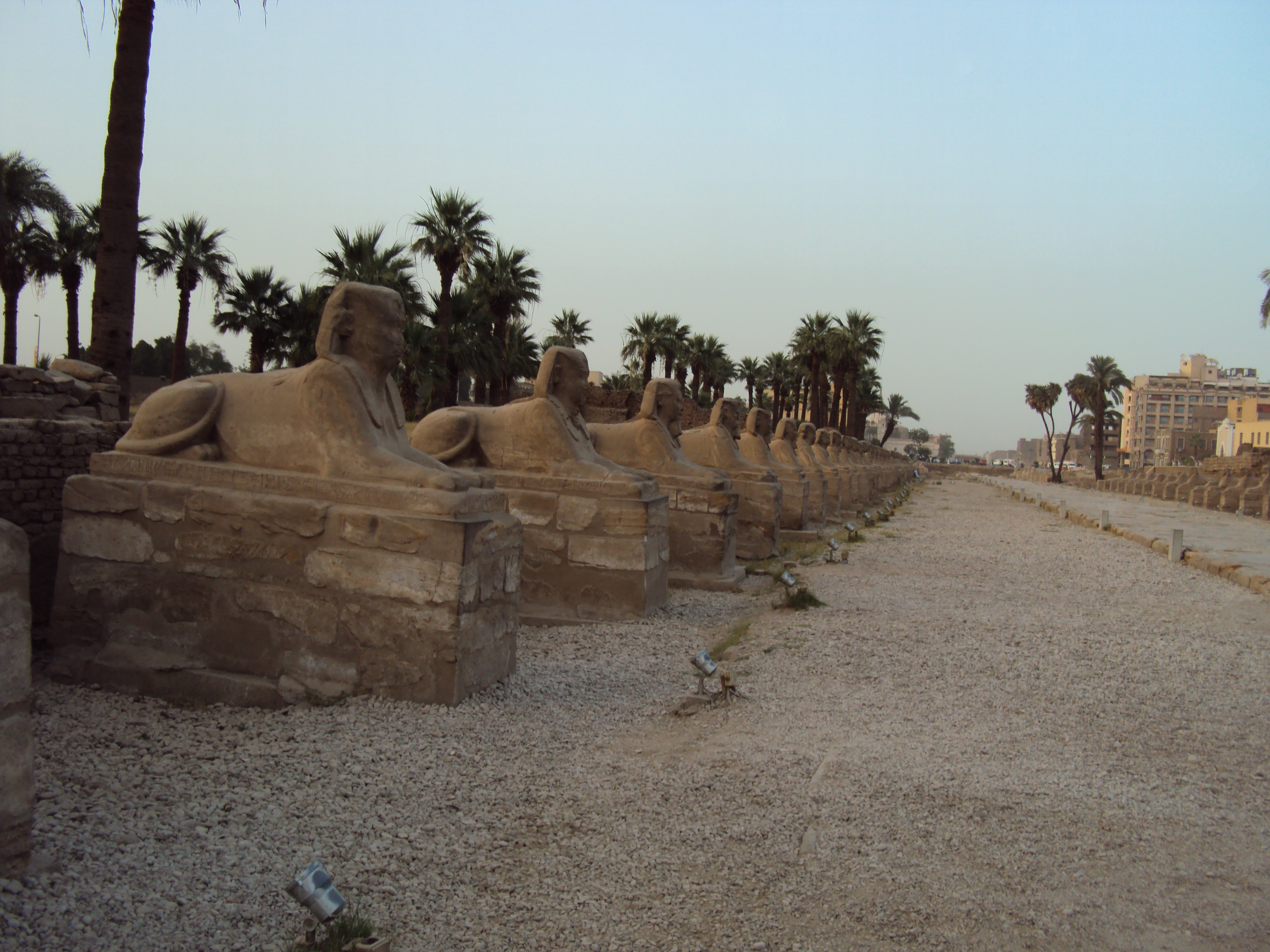 avenue of the sphinxes luxor egypt