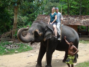 riding an elephant in sri lanka