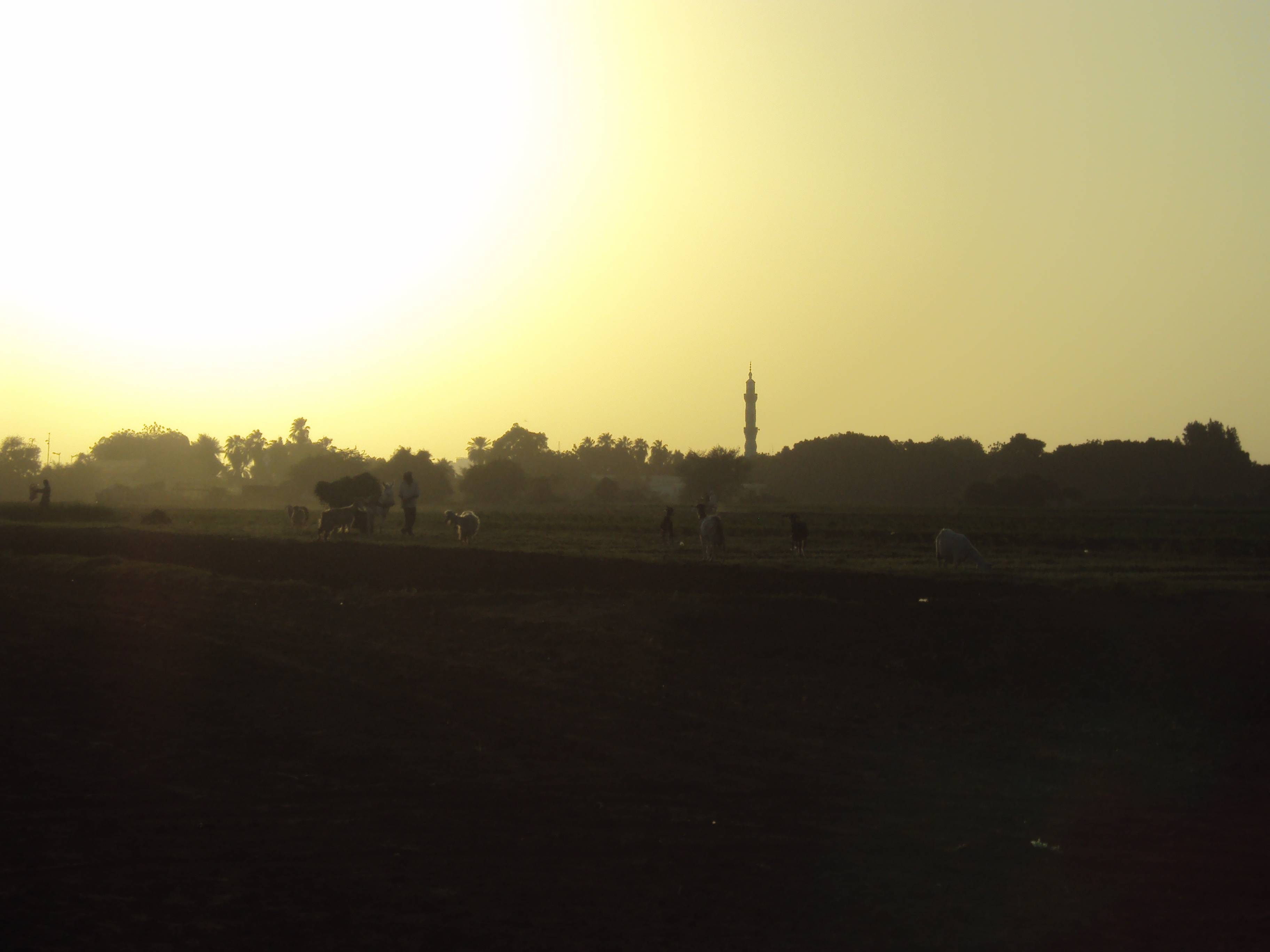 sunset over Tuti island Khartoum