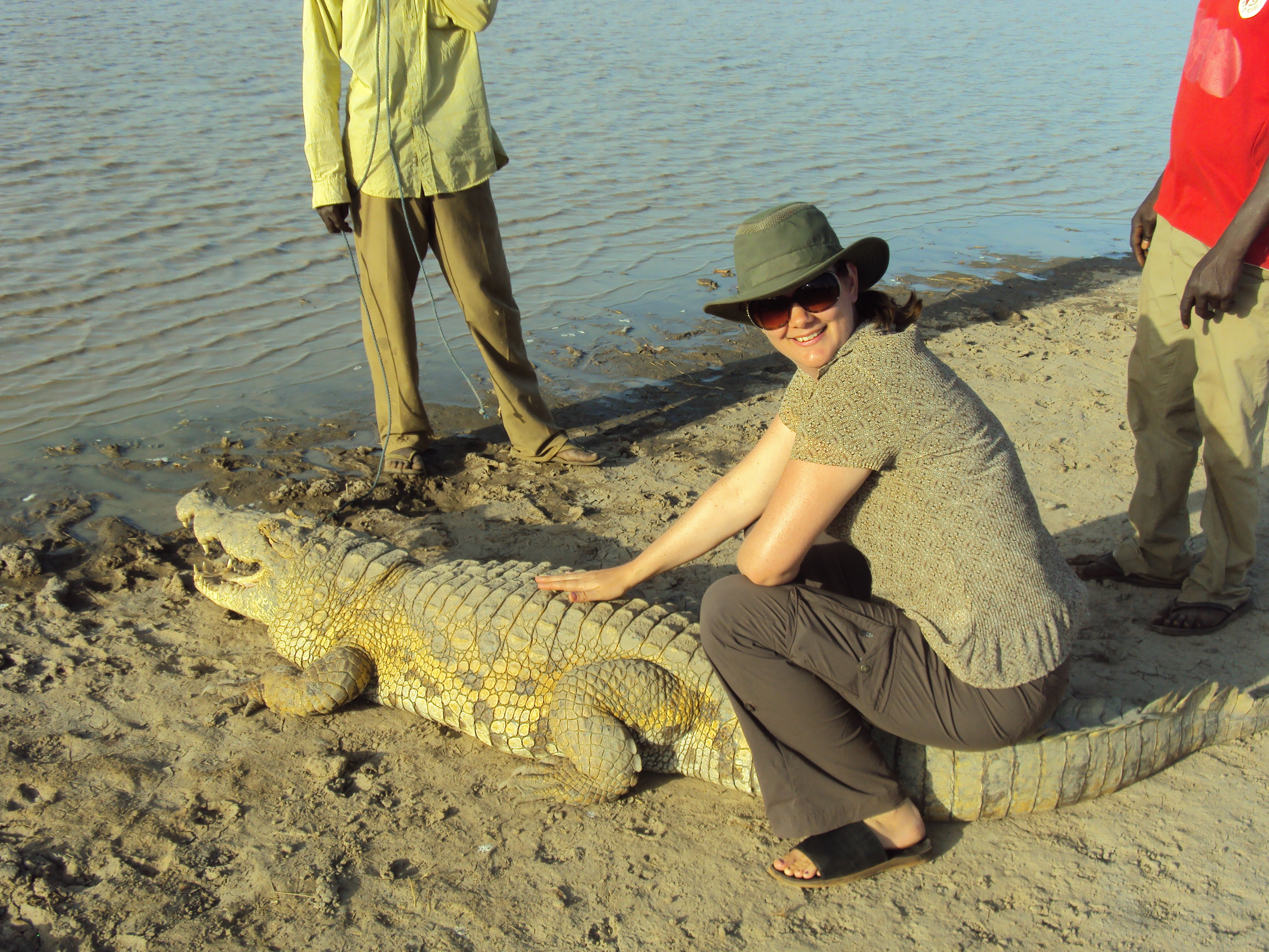 Deah sitting on back of crocodile sacred lake at sabou burkina faso africa