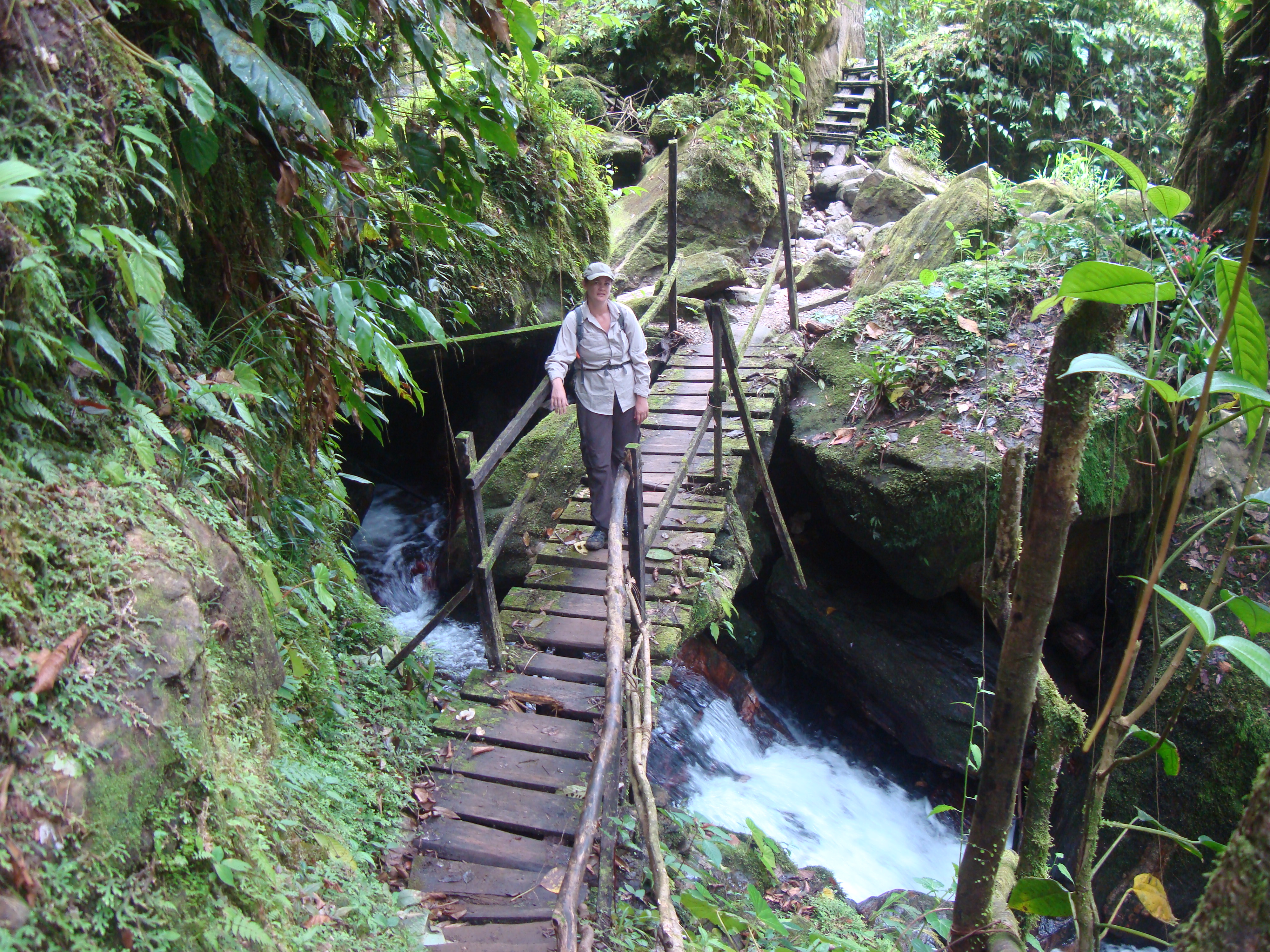 hiker ciudad perdida colombia trail wooden bridge over stream