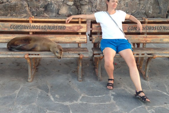 lady sitting next to sea lion on bench in galapagos