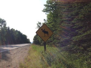 Maine moose crossing sign