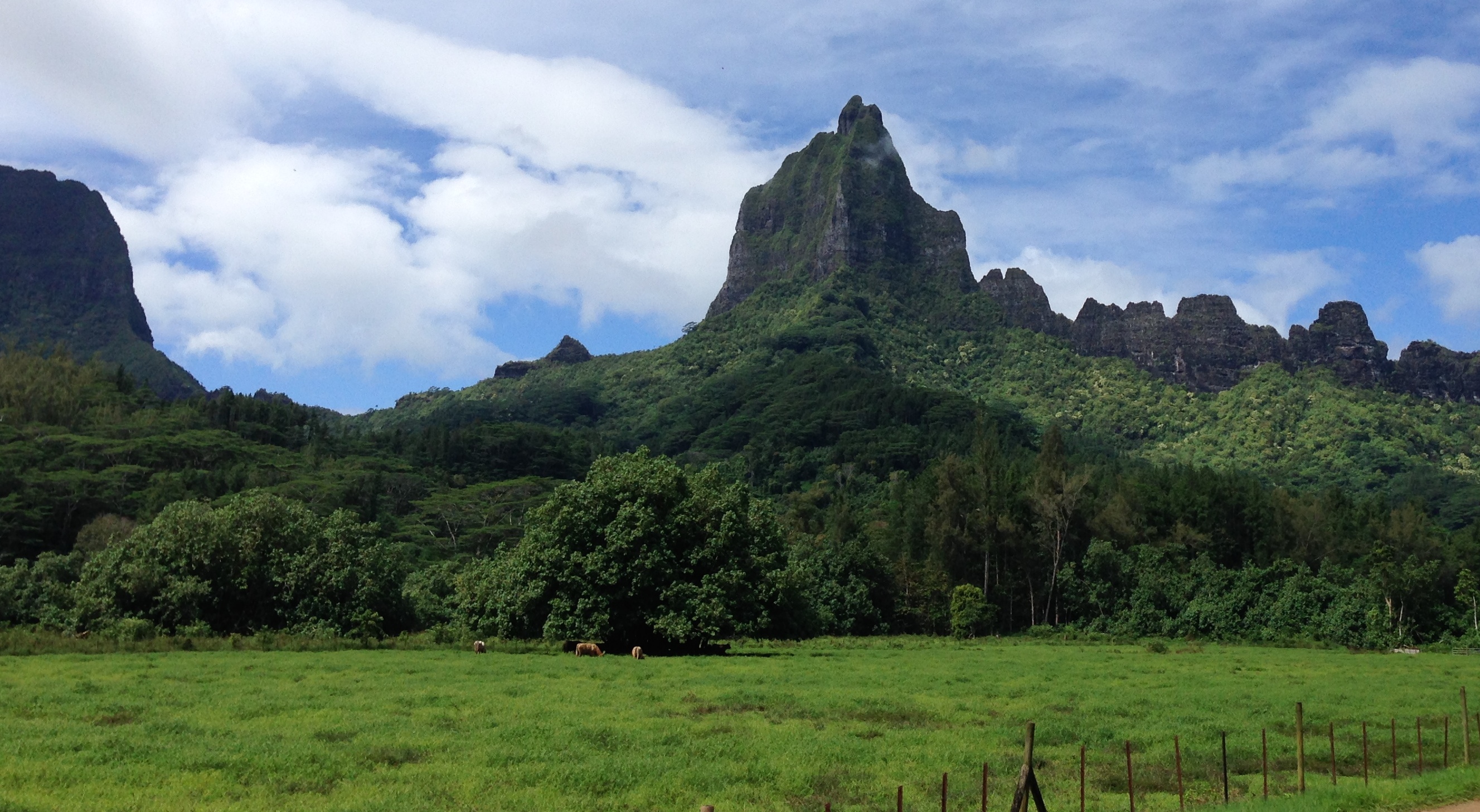 Mount Tohivia tall peak on Moorea