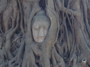 Ayutthaya