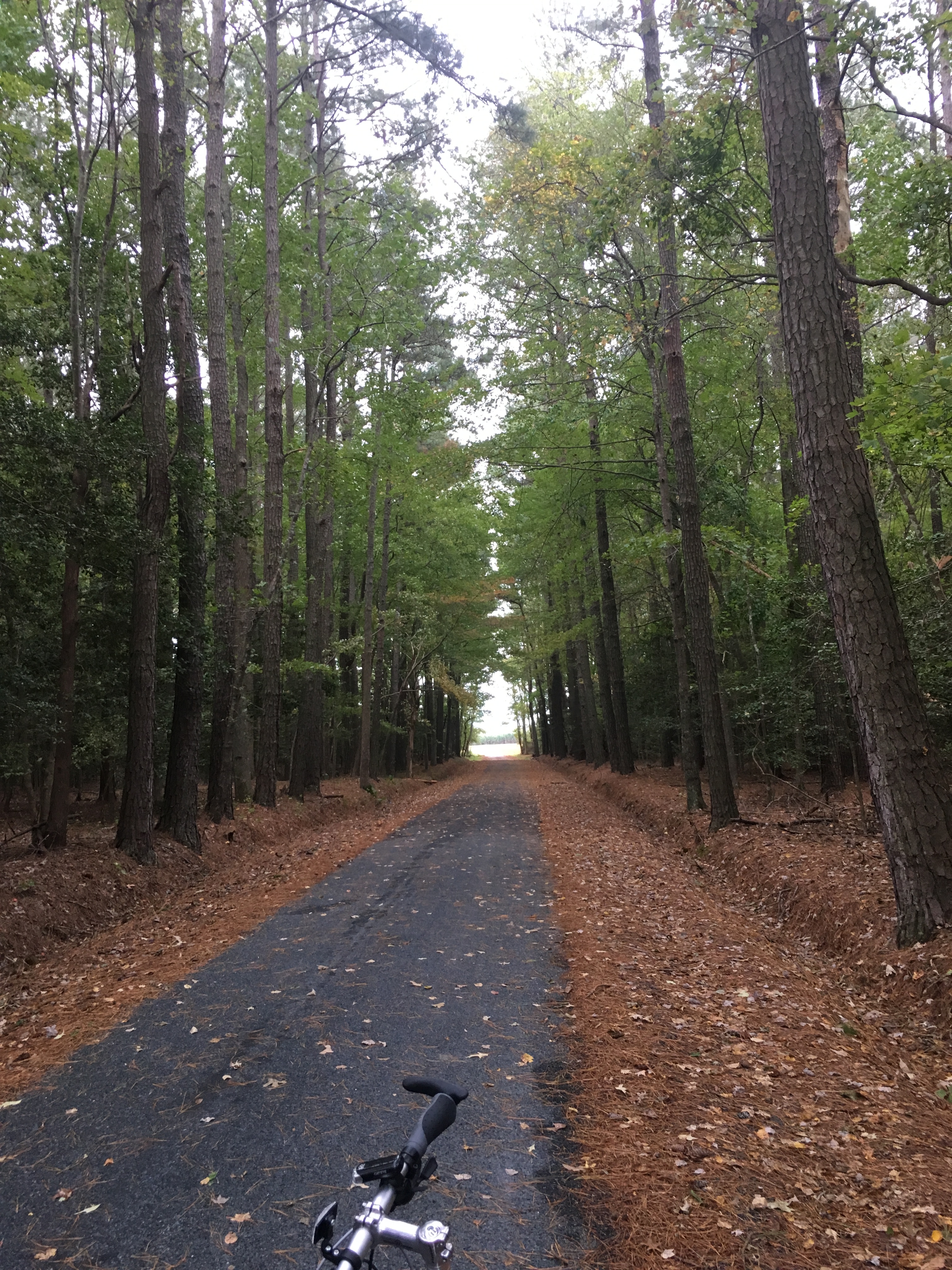 Biking in Delmarva VA