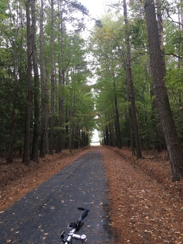 Biking in Delmarva VA