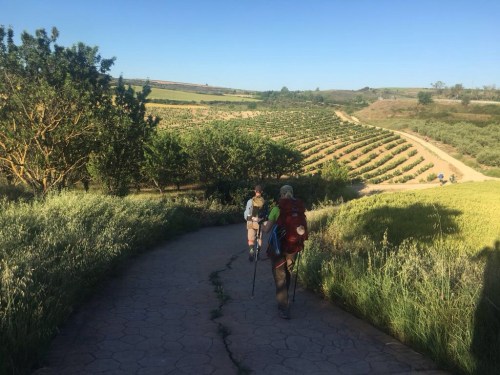 Back on the trail, Camino Santiago
