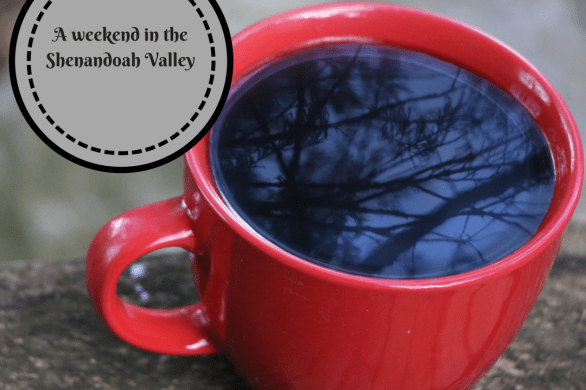 cup of coffee with trees reflected