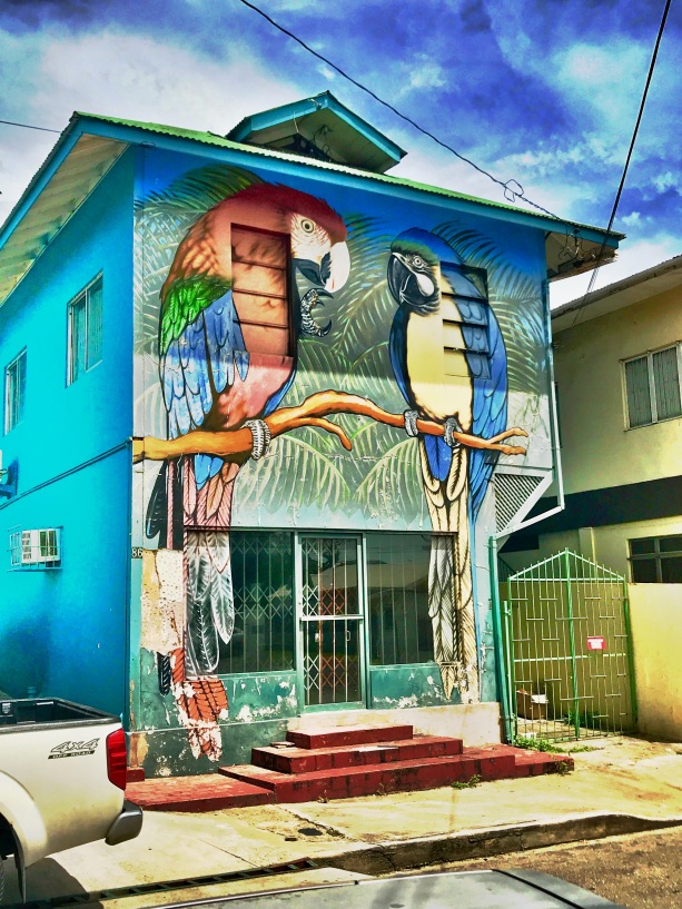 parrot street art port of spain trinidad