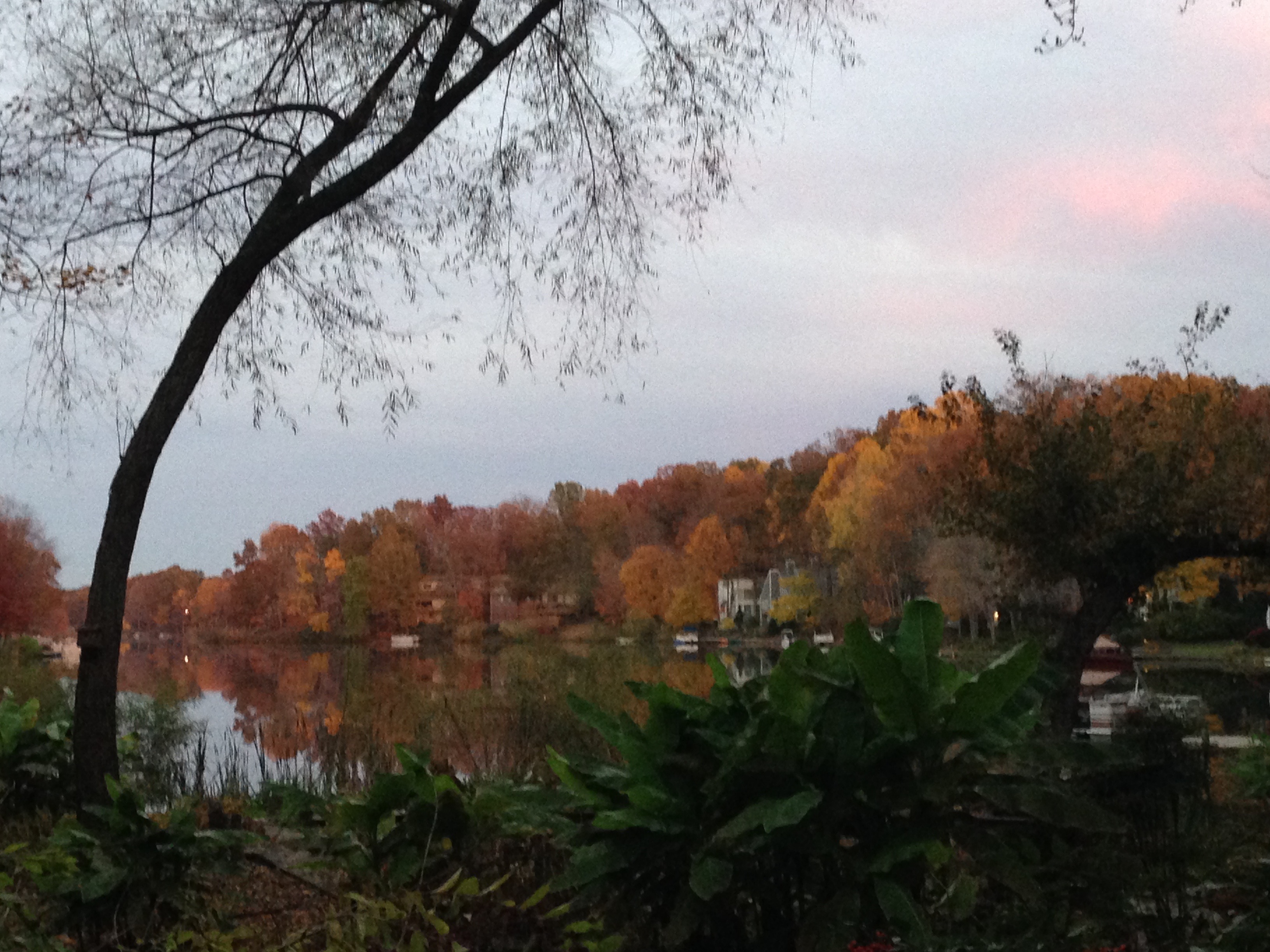fall leaves at lake audubon reston virginia