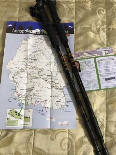 44273421_10156519652066043_7697140268461457408_n