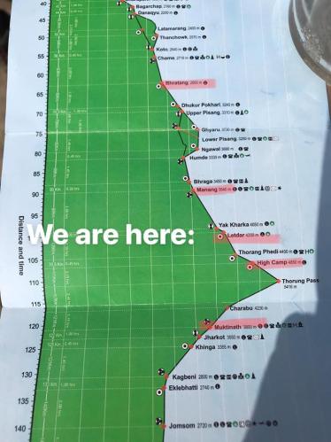 45035079_10156535257186043_4955166007766286336_n