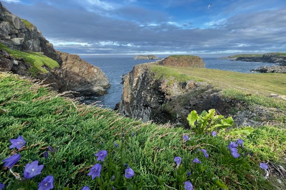 20230723 canada, Newfoundland, Elliston