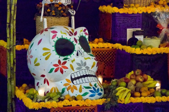 oaxaca-ofrenda skull